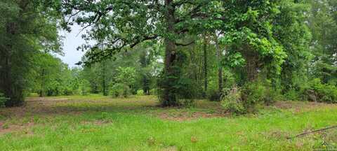 Tract 3 FM 2659, Hawkins, TX 75765