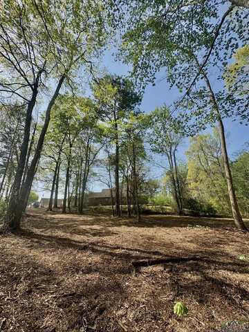 Tbd Travis Peak Trail, White Oak, TX 75693