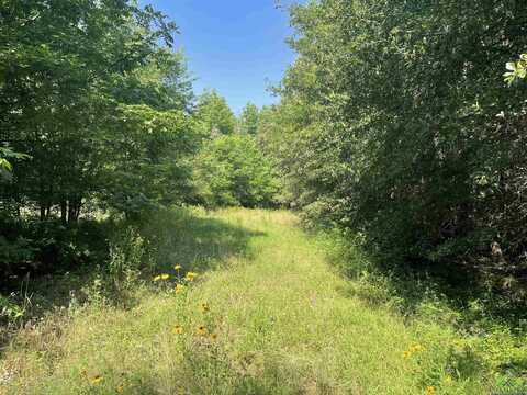Tbd Universtity Blvd, Mineola, TX 75773