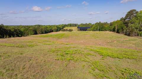 1113 Firetower Rd, Hallsville, TX 75650