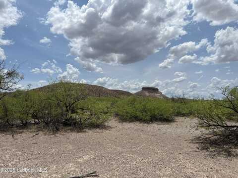Block 2 T&P Presidio County lot: 25-31 Sec 65, Presidio, TX 79845