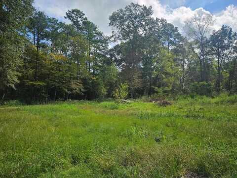 245 Red Cedar Lane, Huntington, TX 75949