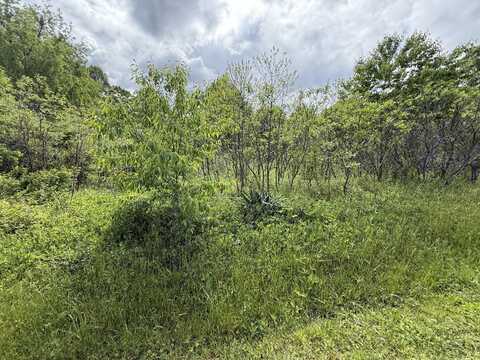 9999 Springs Branch Drive, London, KY 40744