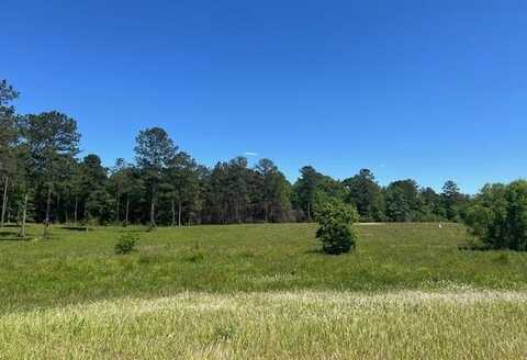 10 & 6 Davis Rd, Ellisville, MS 39437