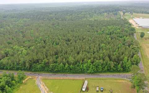 540 Red Hill Florence Rd., Heidelberg, MS 39439