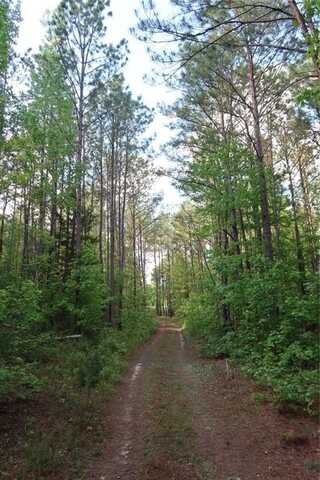 1401 Glassy Mill ROAD, AUBURN, AL 36830