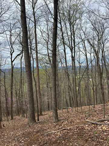 24 Crane Drive, Monroe, VA 24574