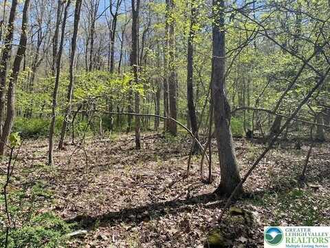 23 Hemlock Road, Eldred Twp, PA 18058