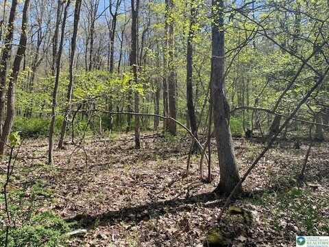23 Lot Hemlock Road, Eldred, PA 18058