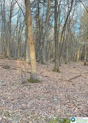 80 Spokane Road, Penn Forest Twp, PA 18210