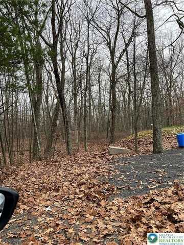 105 Cliff Court, Pike, PA 18328
