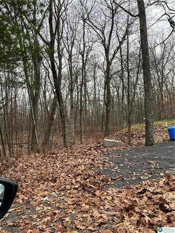 105 Cliff Court, Pequea, PA 18328
