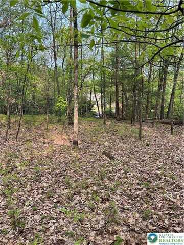 179 Oakridge Drive, Lehman Twp, PA 18328