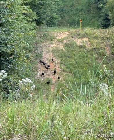 158.90 County Road 84 Circle, Selma, AL 36703