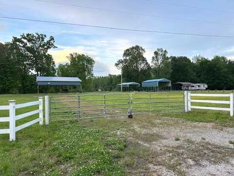 220 CONNIE BETH, Savannah, TN 38372