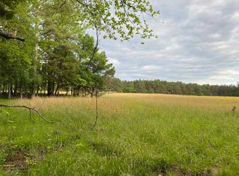 330 LICK CREEK, Michie, TN 38357
