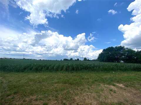 0 Highway 51, Perryville, MO 63775