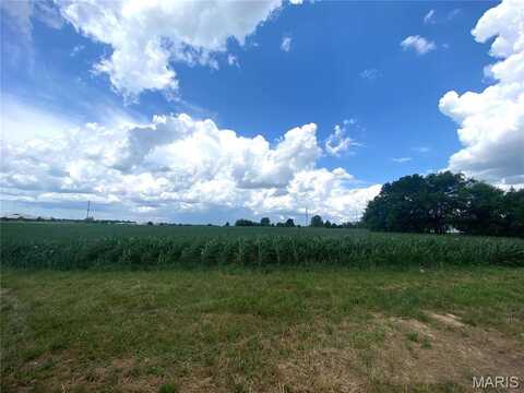 0 Highway 51, Perryville, MO 63775