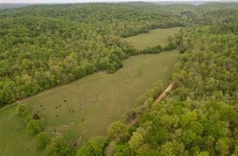 0 CR 352, Piedmont, MO 63957