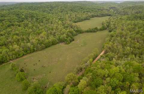 0 CR 352, Piedmont, MO 63957