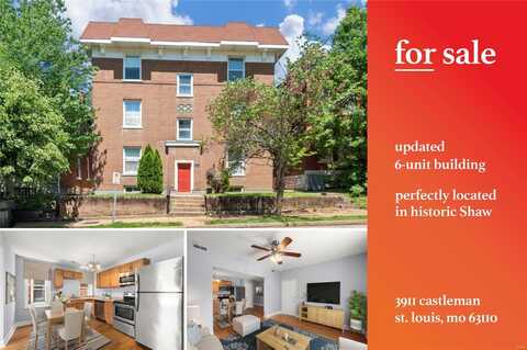 3911 Castleman Avenue, Saint Louis, MO 63110