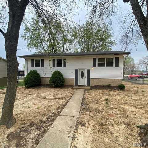 208 Spring Drive, Bonne Terre, MO 63628
