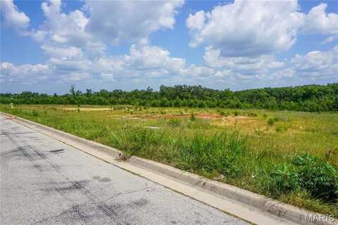 3600 Center Street Lot 8, Rolla, MO 65401