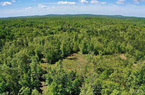 0 Old Jeff City Road, Potosi, MO 63664