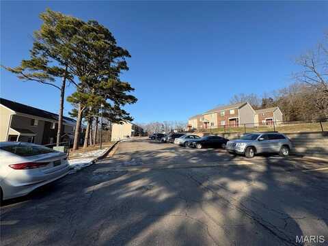 611 Palisades Drive, Pacific, MO 63069