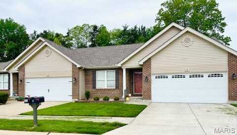 9 Jackson Circle, Festus, MO 63028