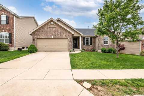 9869 Vicksburg Siege Court, Saint Louis, MO 63123