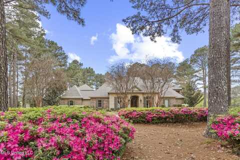 111 Johnstone Drive, Madison, MS 39110