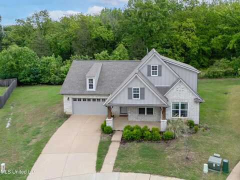 9593 Edgewater Cove, Olive Branch, MS 38654