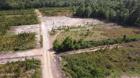 30 Ten Mile Road, Perkinston, MS 39573