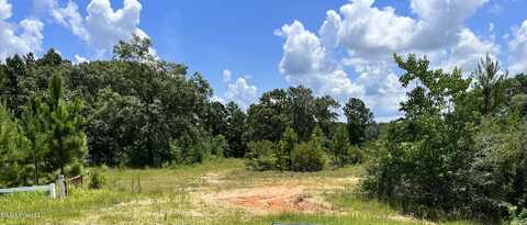 0 Us 49, Wiggins, MS 39577