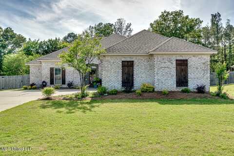 146 Western Ridge Circle, Canton, MS 39046