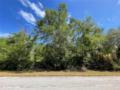 12399 W BALTIC IVY STREET, CRYSTAL RIVER, FL 34428