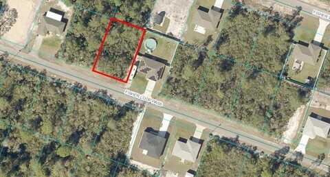 Tbd FISHER LOOP PASS, OCKLAWAHA, FL 32179