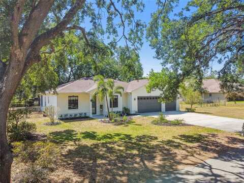18902 SPRING HOLLOW DRIVE, LUTZ, FL 33559