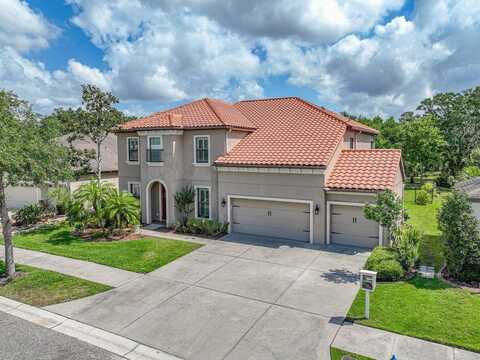 7927 HAMPTON LAKE DRIVE, TAMPA, FL 33647
