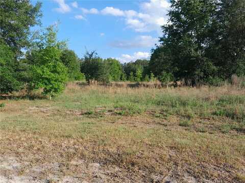 21930 SE 60TH LANE, MORRISTON, FL 32668