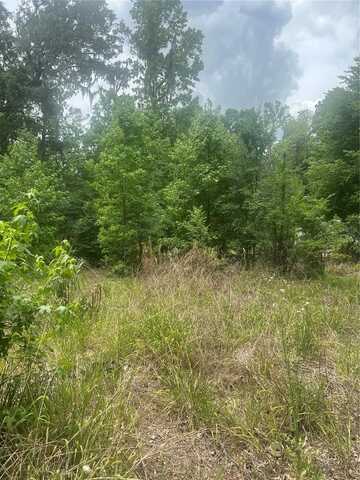 2614 CR 412, LAKE PANASOFFKEE, FL 33538