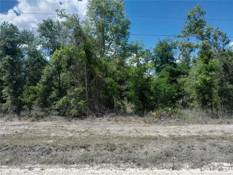 Tbd NE 63RD PLACE, WILLISTON, FL 32696
