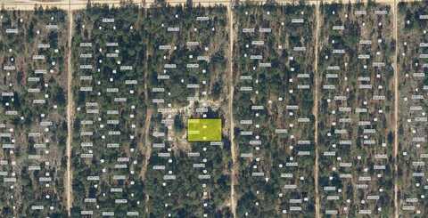 SW 55TH AVENUE, INTERLACHEN, FL 32148