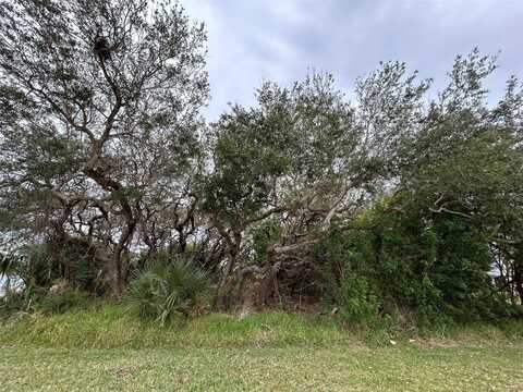 RIVER ROAD, NEW SMYRNA BEACH, FL 32169