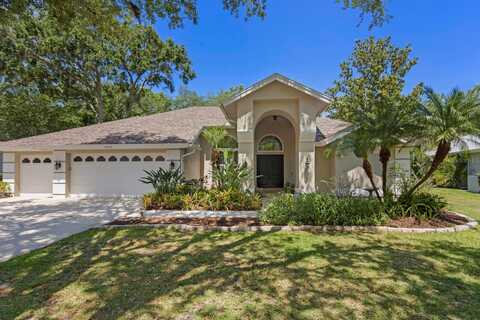 15819 DAWSON RIDGE DRIVE, TAMPA, FL 33647