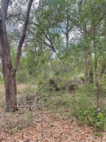 JUNIPER STREET, LADY LAKE, FL 32159