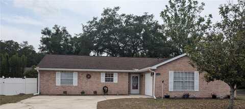 1250 LEMONWOOD AVENUE, DELAND, FL 32724