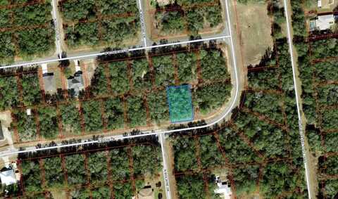 10574 N ADLER DRIVE, CITRUS SPRINGS, FL 34434