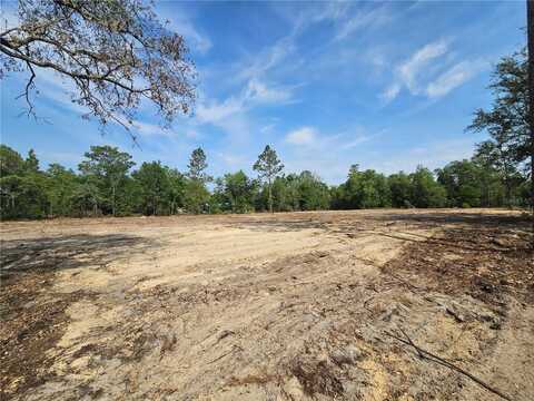 9591 NE 88TH LANE, BRONSON, FL 32621